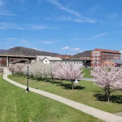 Canal Place Heritage Area - Cumberland