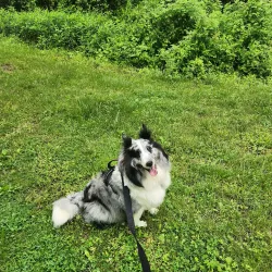 C&O Canal National Historical Park - Cumberland