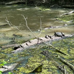 C&O Canal National Historical Park - Cumberland