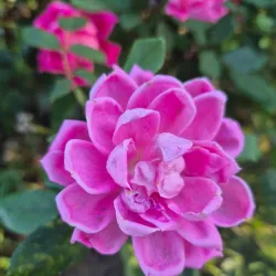 Riverside Park - Cumberland