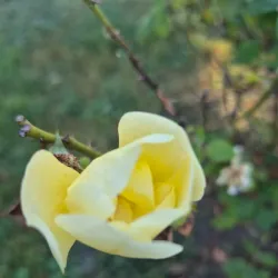 Riverside Park - Cumberland