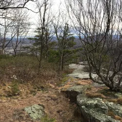 Wills Mountain State Park - Cumberland