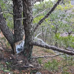 Wills Mountain State Park - Cumberland