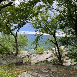 Wills Mountain State Park - Cumberland