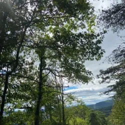 Wills Mountain State Park - Cumberland