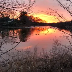 Tred Avon River - Easton