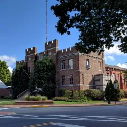 Waterfowl Festival - Easton