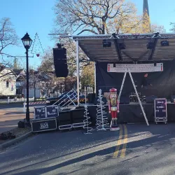 Waterfowl Festival - Easton