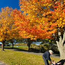 Freedom Park - Eldersburg