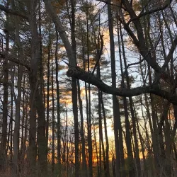 Freedom Park - Eldersburg