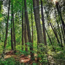 Liberty Reservoir Trail - Eldersburg