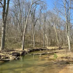 Morgan Run Natural Environment Area - Eldersburg