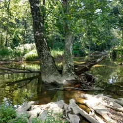 Morgan Run Natural Environment Area - Eldersburg