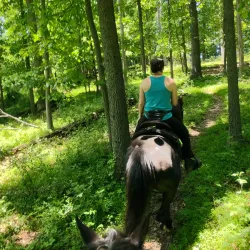 Morgan Run Natural Environment Area - Eldersburg