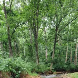 Morgan Run Natural Environment Area - Eldersburg