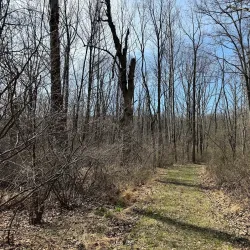 Morgan Run Natural Environment Area - Eldersburg