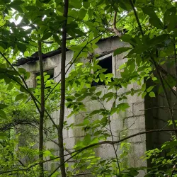 Morgan Run Natural Environment Area - Eldersburg