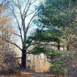 Morgan Run Natural Environment Area - Eldersburg