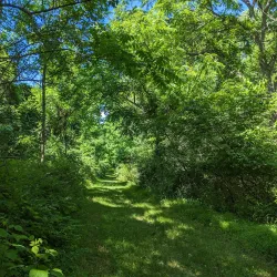 Morgan Run Natural Environment Area - Eldersburg