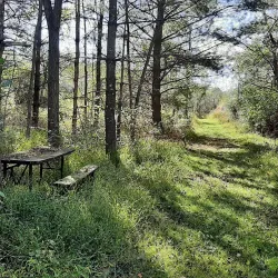 Morgan Run Natural Environment Area - Eldersburg