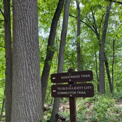Patapsco Valley State Park - Eldersburg