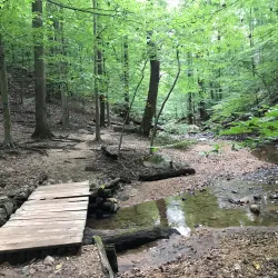 Patapsco Valley State Park - Eldersburg