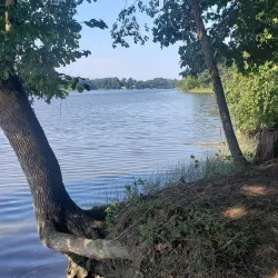 Bohemia River State Park - Elkton