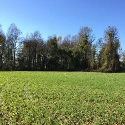 Bohemia River State Park - Elkton