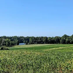 Bohemia River State Park - Elkton