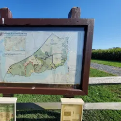 Bohemia River State Park - Elkton