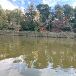 Elk River Park - Elkton