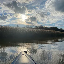 Elk River Park - Elkton
