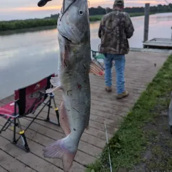 Elk River Park - Elkton