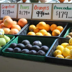 Elkton Farmers Market - Elkton