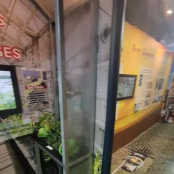 Elkton Library - Elkton