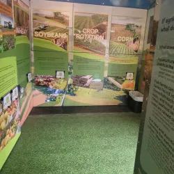 Elkton Library - Elkton