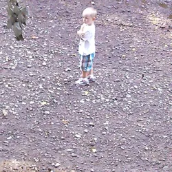 Elkton Skate Park - Elkton