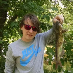 Elkton Skate Park - Elkton