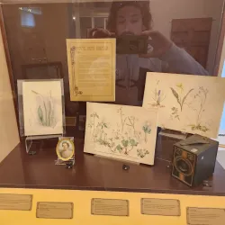 Historic Elkton Downtown - Elkton