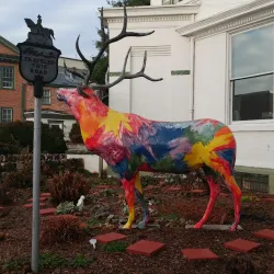 Historic Elkton Downtown - Elkton