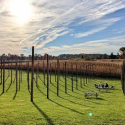 Ellicott City Brewing Company - Ellicott City