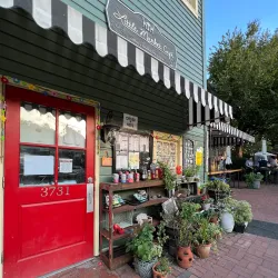 Historic Ellicott City Main Street - Ellicott City