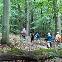 Rockburn Branch Park - Ellicott City