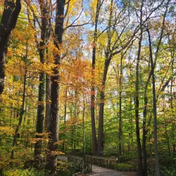 Rockburn Branch Park - Ellicott City