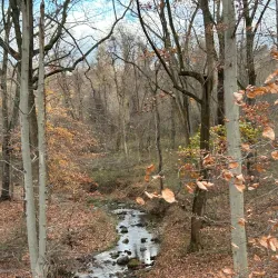 Rockburn Branch Park - Ellicott City