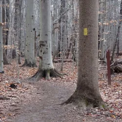 Rockburn Branch Park - Ellicott City