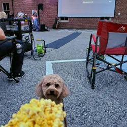 The Wine Bin - Ellicott City