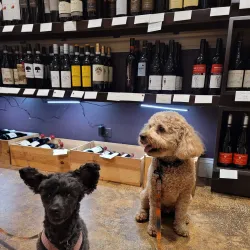 The Wine Bin - Ellicott City