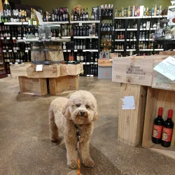 The Wine Bin - Ellicott City