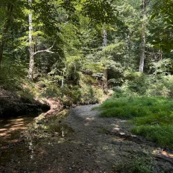 Trolley Line #9 Trail - Ellicott City